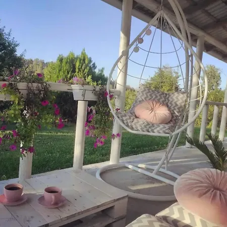 Obradovic Holiday home Arilje