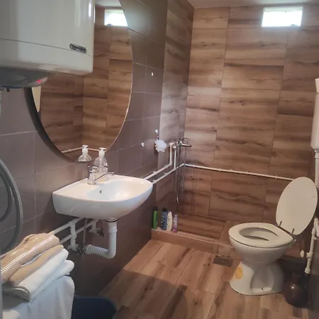 Obradovic Holiday home Arilje